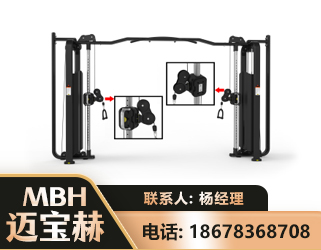 三亚大飞鸟训练器